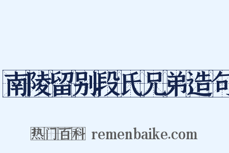 南陵留别段氏兄弟造句是什么意思的图片